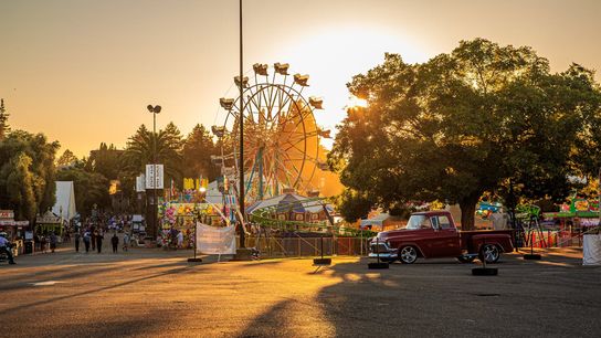 Why the Minnesota State Fair Is a Must-See Experience (Live in Minnesota )